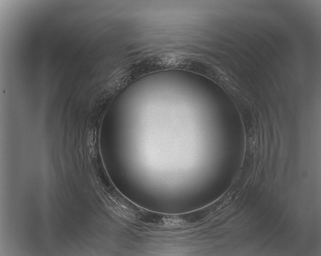 X0000059810605200511041655