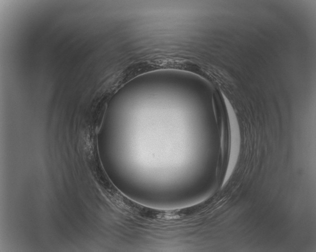 X0000059810607200511041655