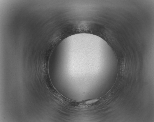 X0000059810608200511041655