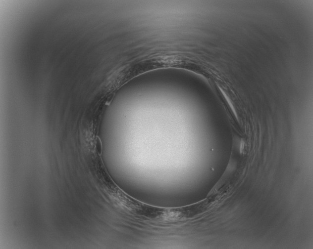 X0000059810609200511041655