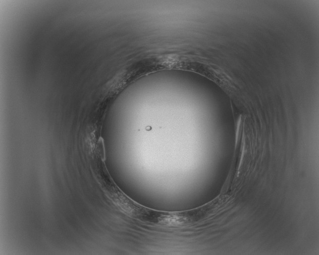 X0000059810611200511041655