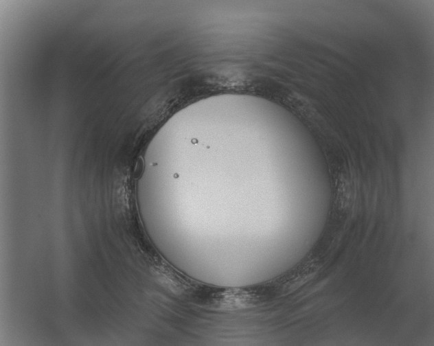 X0000059810612200511041655