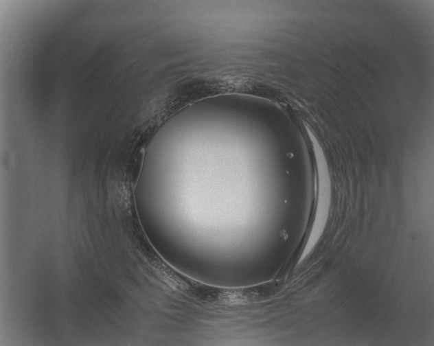 X0000059810613200511041655