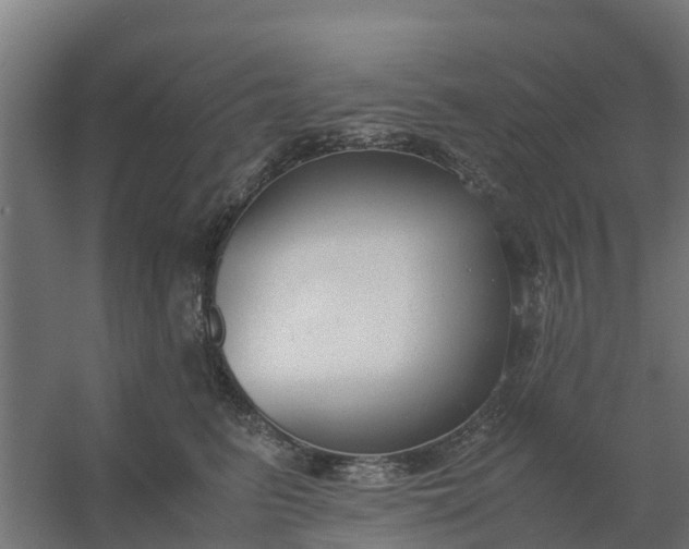 X0000059810615200511041655