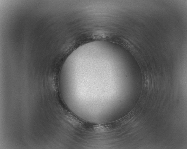 X0000059810616200511041655