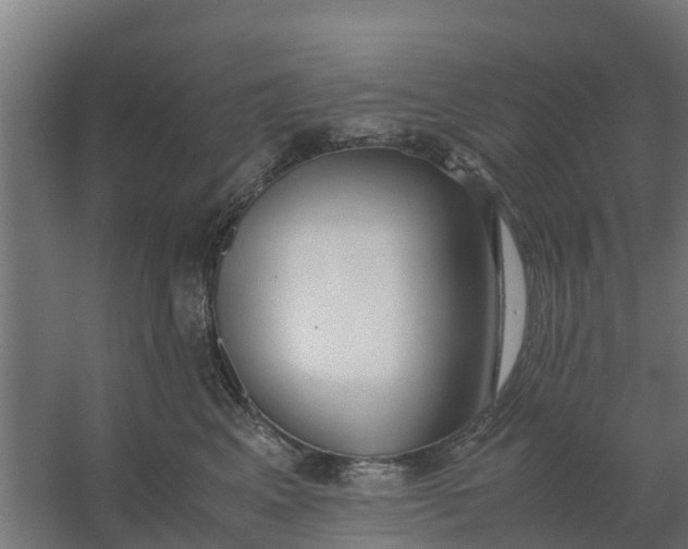 X0000059810617200511041655