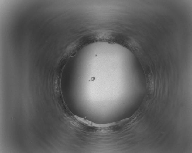 X0000059810619200511041655