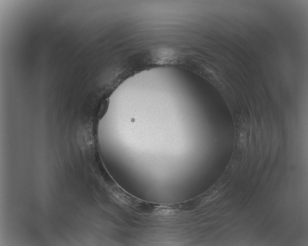 X0000059810620200511041655