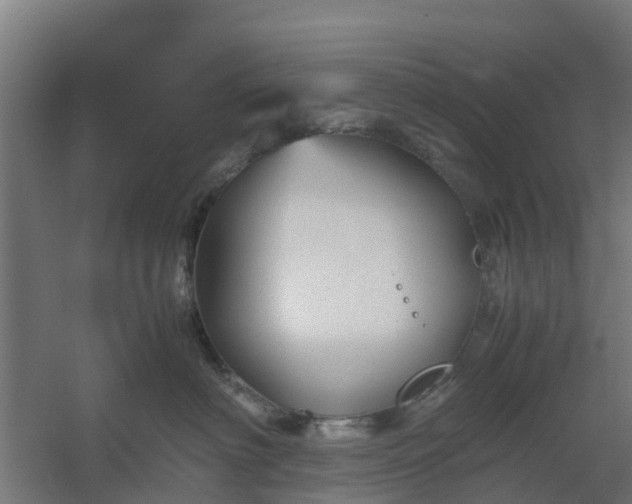 X0000059810622200511041655