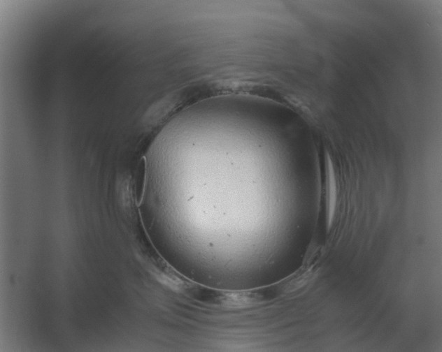 X0000059810623200511041655