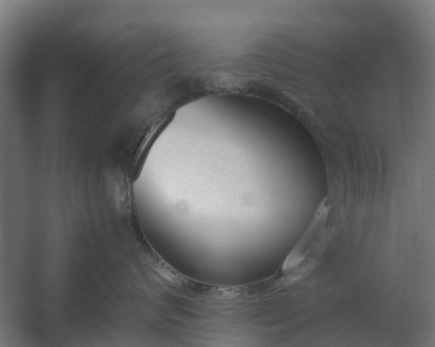 X0000059810624200511041655