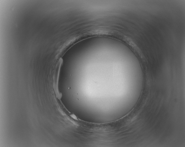 X0000059810625200511041654