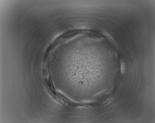 X0000059810627200511041654