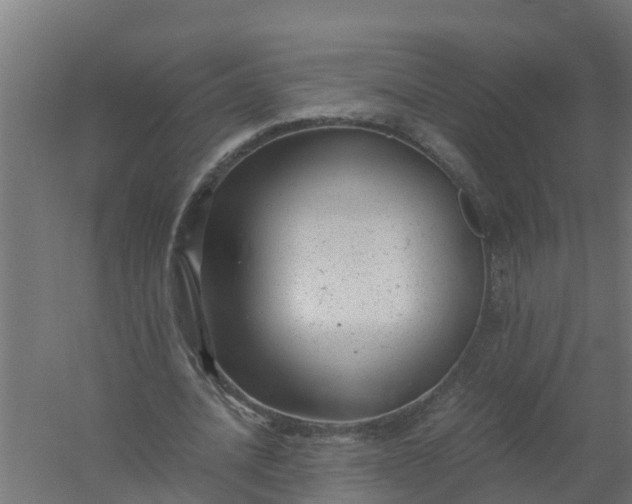 X0000059810628200511041654