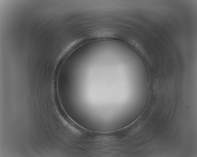 X0000059810629200511041654