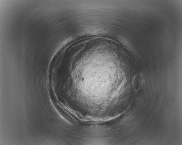 X0000059810630200511041654