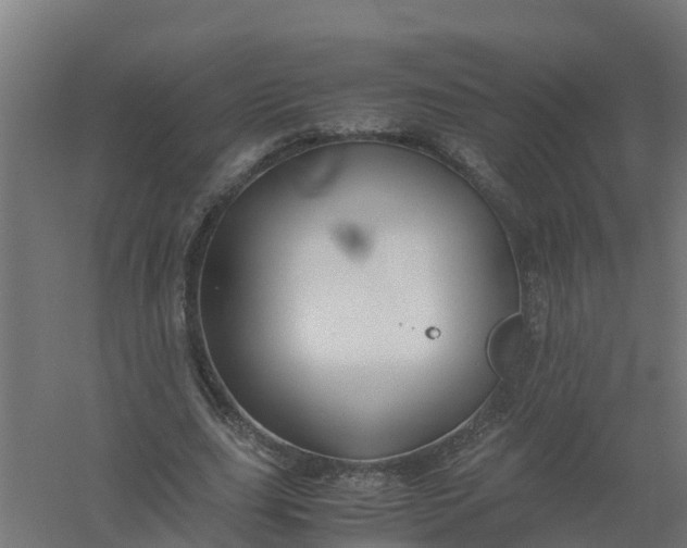 X0000059810631200511041654