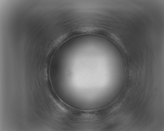 X0000059810633200511041654