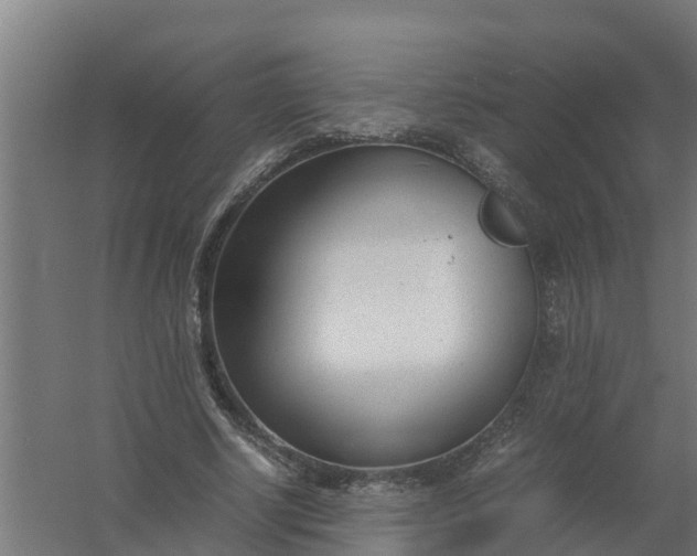 X0000059810634200511041654