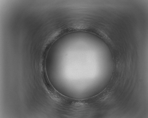 X0000059810635200511041654