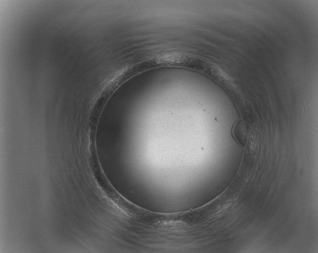 X0000059810637200511041654