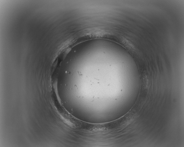 X0000059810638200511041654