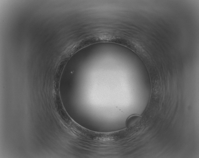 X0000059810639200511041654