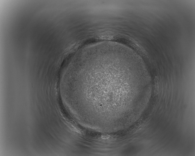 X0000059810641200511041654