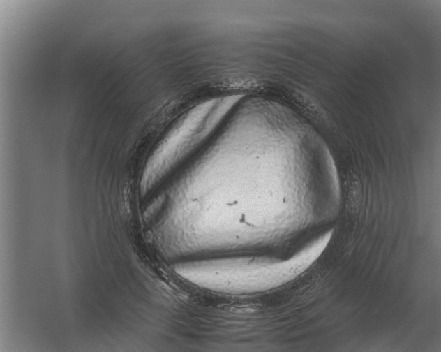 X0000059810643200511041654