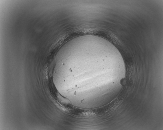 X0000059810644200511041654