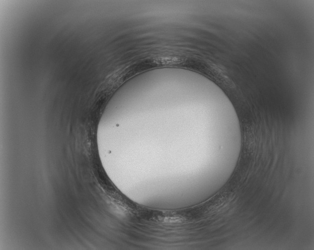 X0000059810645200511041654