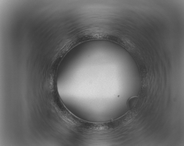 X0000059810646200511041654