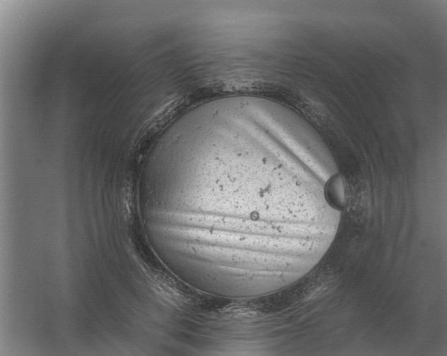 X0000059810648200511041654