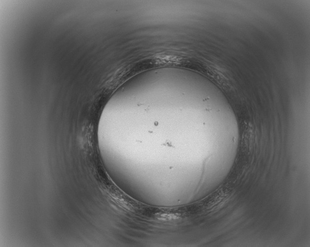 X0000059810649200511041655