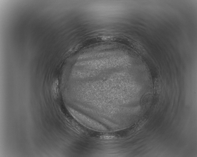 X0000059810650200511041655