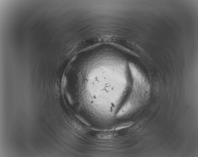 X0000059810661200511041655