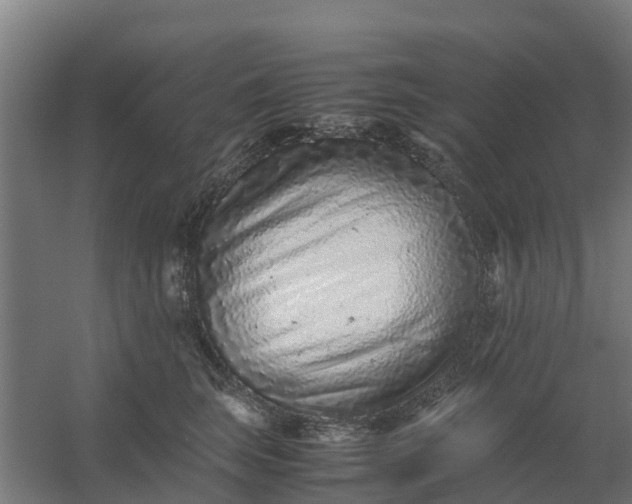 X0000059810663200511041655