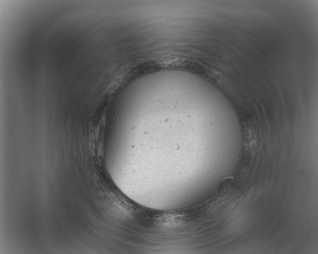 X0000059810664200511041655