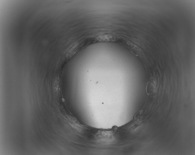 X0000059810665200511041655