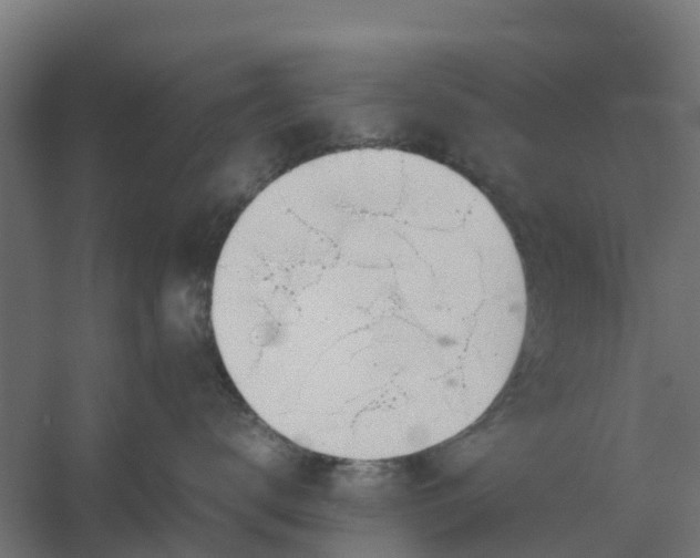 X0000059810672200511041655