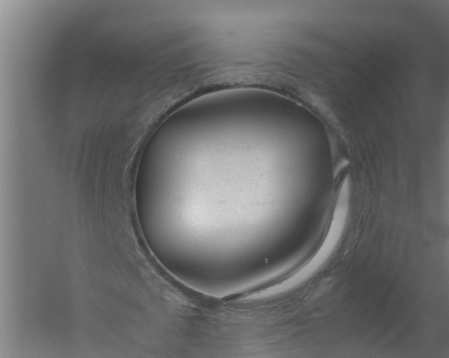 X0000059810673200511041654