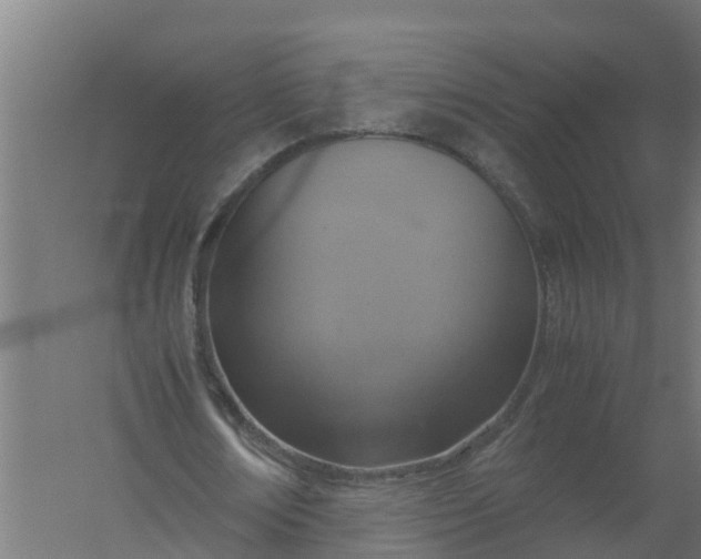 X0000059810674200511041654