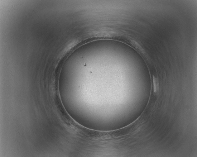 X0000059810675200511041654