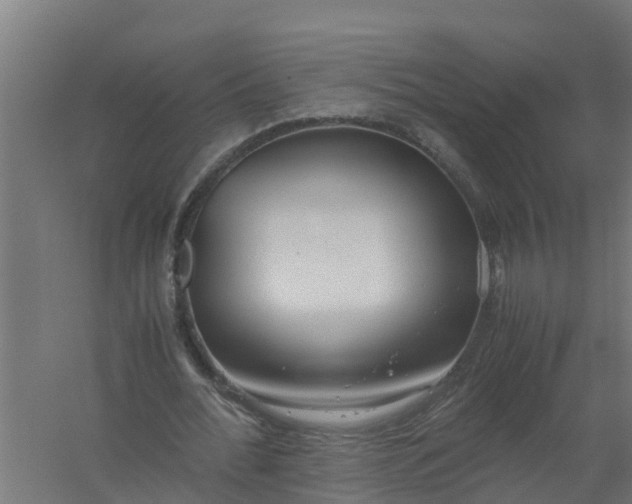 X0000059810676200511041654