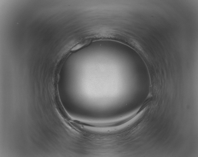 X0000059810677200511041654