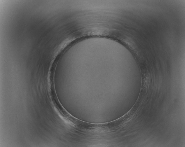 X0000059810678200511041654