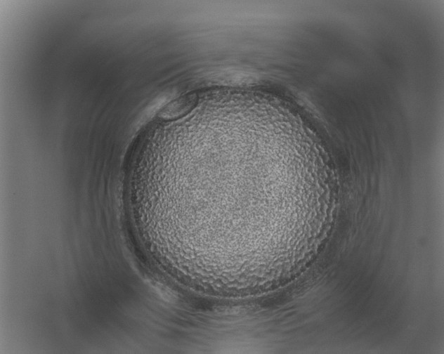 X0000059810679200511041654