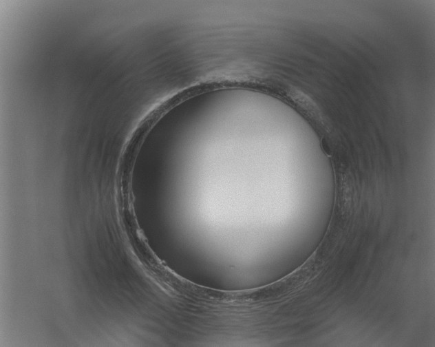 X0000059810680200511041654