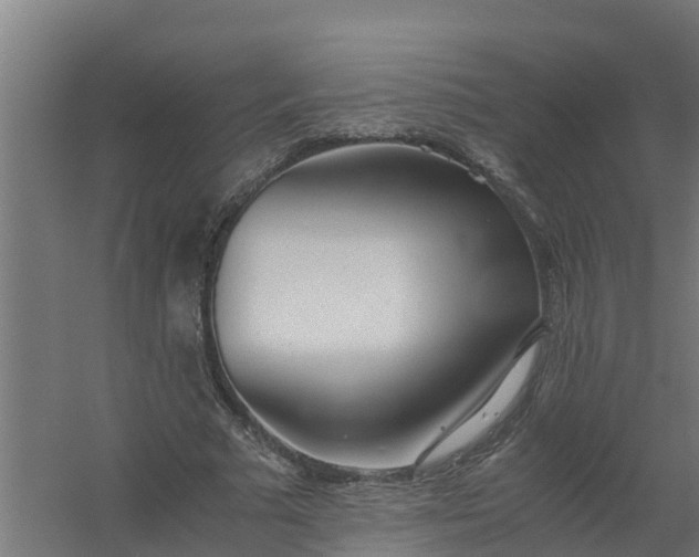 X0000059810681200511041654