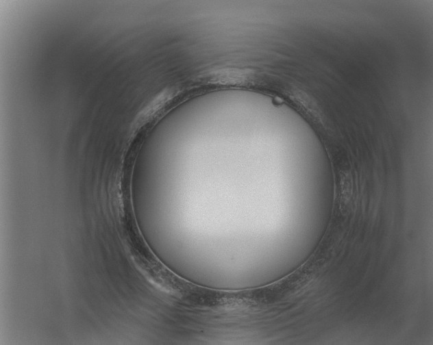 X0000059810682200511041654